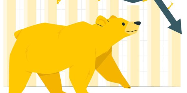 Bear Market: A quick guide