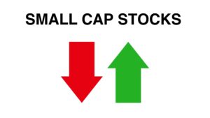 Read more about the article What are Small Cap Stocks?